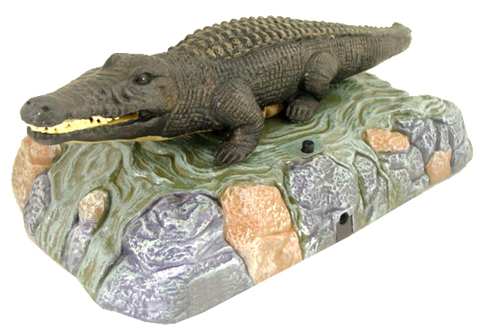 SINGING AND DANCING CROCODILE: WISE CROC SINGING AND DANCING CROCODILE 00036